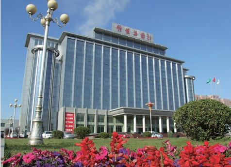 Xinfa Group 